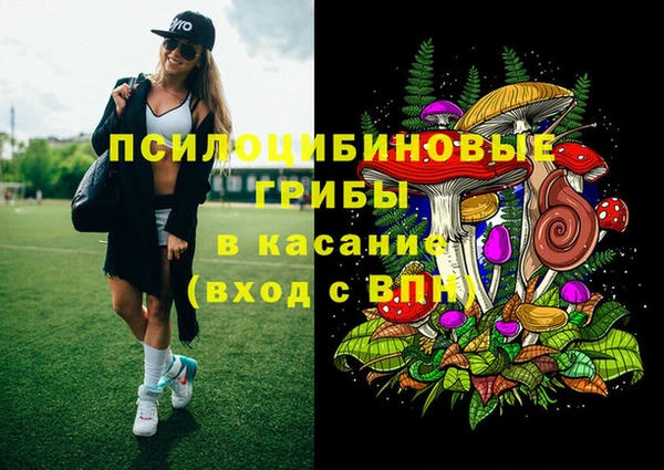 первитин Алексин
