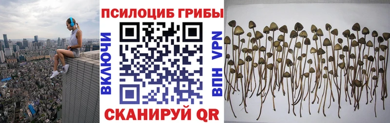 Псилоцибиновые грибы прущие грибы Мичуринск
